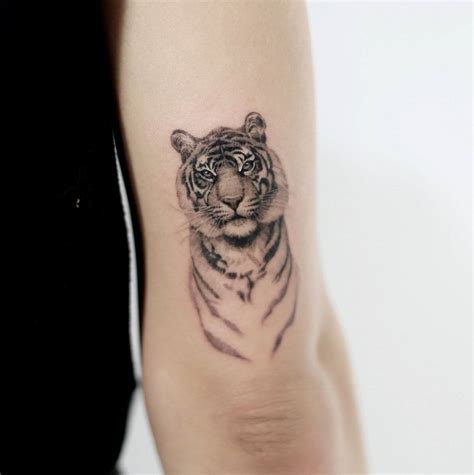 small tiger tattoo